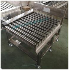 Standby Conveyor (Bag Conveyor)